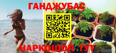 крисы Анжеро-Судженск