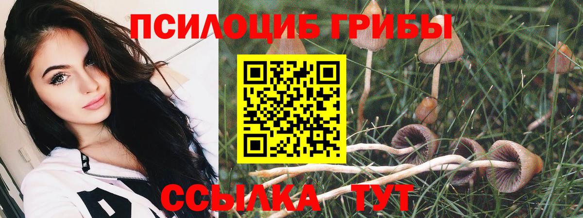 Богородск  Псилоцибиновые грибы мицелий  Вход с VPN 